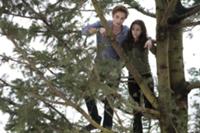 Кадры из фильма 'Twilight', 2008. На фото: Роберт 