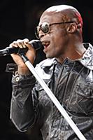 GREAT TEW, OXFORD, ENGLAND - Seal at the Cornbury 