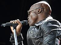 GREAT TEW, OXFORD, ENGLAND - Seal at the Cornbury 
