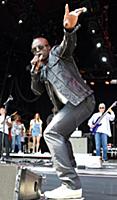 GREAT TEW, OXFORD, ENGLAND - Seal at the Cornbury 