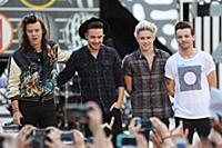 Harry Styles, Liam Payne, Niall Horan and Louis To