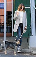 Actress Dakota Johnson walks her dog Zeppelin in t