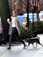 Actress Dakota Johnson walks her dog Zeppelin in t
