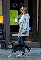 Actress Dakota Johnson walks her dog Zeppelin in t
