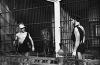 Кадр из кинофильма 'Разбудите Мухина', СССР, 1967.