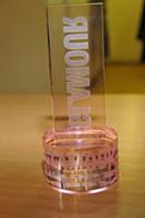 Церемония награждения 'Женщина года Glamour 2009',
