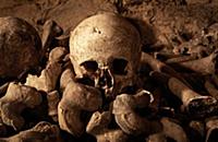 NATIONAL PICTURES

Spooky sightseers can spend H