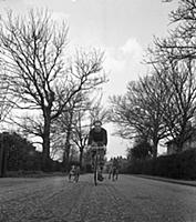 Reg Harris  - Sportsman of the Year
1950