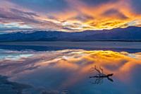 Дикая природа от фотографа Jeff Foott