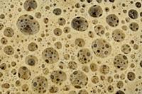 Foam on beach, Netherlands