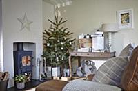 Decorated Christmas tree between wood-burning stov