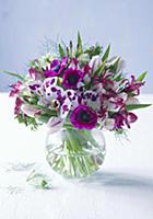 Bouquet of moth orchids, tulips, anemones, nerine 