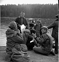 Кадр из фильма «Любовь и голуби», (1984).