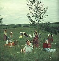 Кадр из фильма «Белое солнце пустыни», (1969).