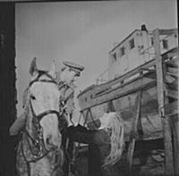 Кадр из фильма «Служили два товарища», (1968). На 