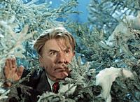 Кадр из фильма: «Карнавальная ночь», (1956). На фо