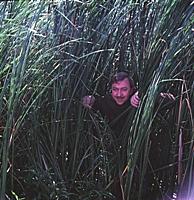 Кадр из фильма «Ты - мне, я - тебе», (1976). На фо