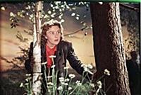Кадр из фильма «Свадьба с приданым», (1953). На фо
