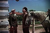 Кадр из фильма «Смелые люди», (1950).