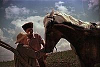 Кадр из фильма «Смелые люди», (1950).