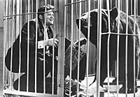 Кадр из фильма «Король манежа», (1969).