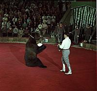 Кадр из фильма «Король манежа», (1969).