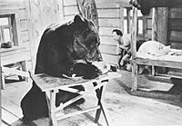Кадр из фильма «Король манежа», (1969).