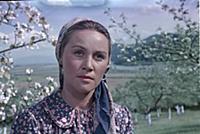 Кадр из фильма: 'Над Тиссой' (1958). На фото: Тать