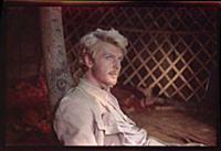 Кадр из фильма: «Сорок первый», (1956). На фото: О