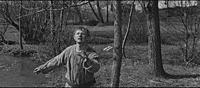 Кадр из фильма «Андрей Рублев», (1966). На фото: М