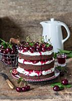 Cherry chocolate cake