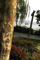 Достопримечательности Ханчжоу (Hangzhou), Китай. Н