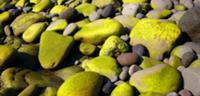 Исландия, июль 2009. На фото: покрытые мхом камни 