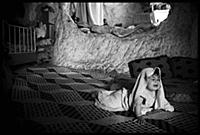 Гражданская война в Сирии