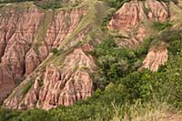 ROMANIA / Transylvania / Sebes / Rapa Rosie Nature