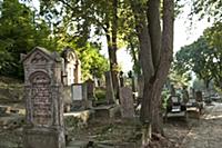 ROMANIA / Transylvania / Sighisoara / Citadel (Old