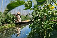 MYANMAR / Shan State / Inle Lake / Woman of the et