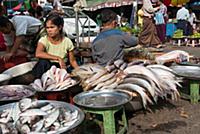 MYANMAR / Yangon / 2015 / Daily street market in f