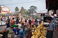 MYANMAR / Yangon / 2015 / Sale of bananas and flow