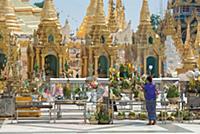 MYANMAR / Yangon / 2015 / At the Shwedagon Pagoda,
