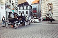 Austria / Vienna / 2014 / Michaelerplatz.

© Eugen