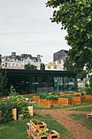 Austria / Vienna / 2014 / Urban gardening on Charl