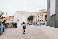 Austria / Vienna / 2014 / Summer in MuseumsQuartie
