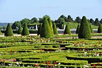 France / лle-de-France / Yvelines / Verseilles / 2