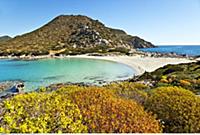 ITALY / Sardinia / ( Sueden ) / Villasimius / Spia