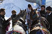 Turkey / Lake ‚хldхr / 2015 / Love of Horses on th