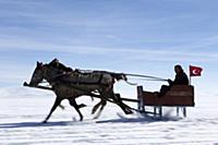 Turkey / Lake ‚хldхr / 2015 / Love of Horses on th