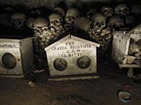 Italy / Campania / Naples / 2015 / Cimitero delle 