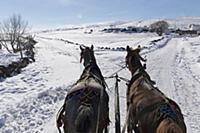 Turkey / Lake ‚хldхr / 2015 / Love of Horses on th