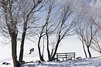 Turkey / Lake ‚хldхr / 2015 / Love of Horses on th